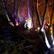Light up Sheffield Light up Sheffield